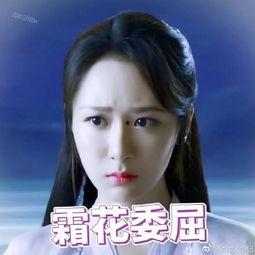 杨紫爆料润玉视频大全下载  第1张